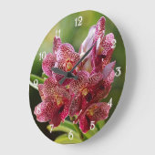 熱帯バンダの蘭の集り ラージ壁時計 (傾斜)