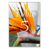 熱帯バードオブパラダイス結婚フローラ テーブルナンバー (裏面)