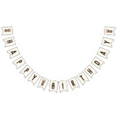 熱帯パイナップルのハッピーバースデーデコール バンティングフラッグ (全)