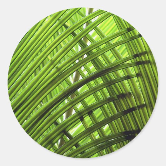 熱帯パターン ラウンドシール (正面)