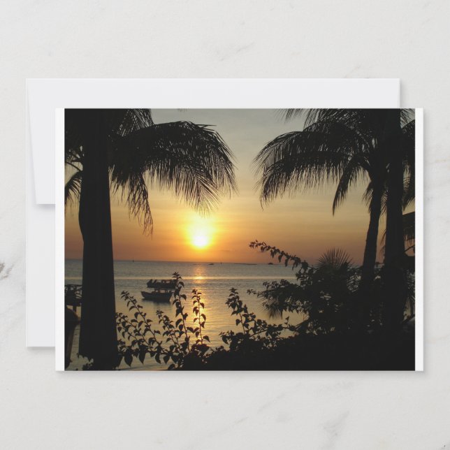 熱帯パラダイス (正面)