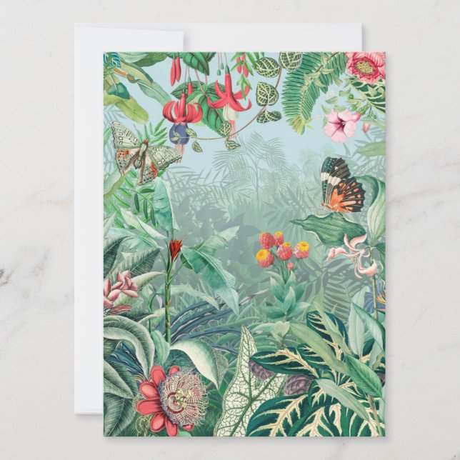 熱帯パラダイス (正面)