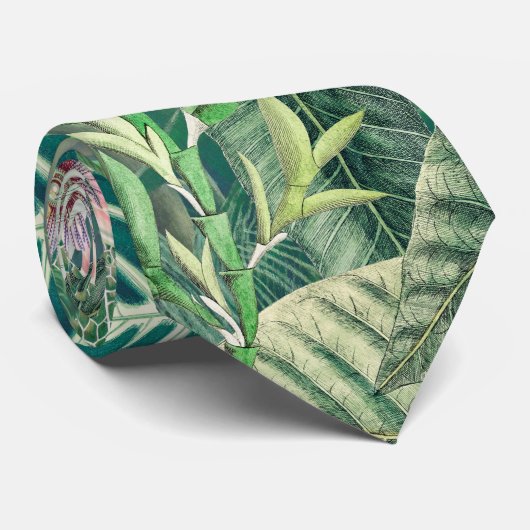 熱帯パラダイス ネクタイ (ロール)