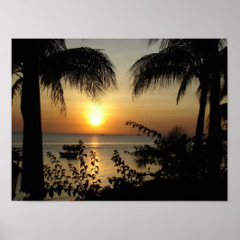 熱帯パラダイス ポスター