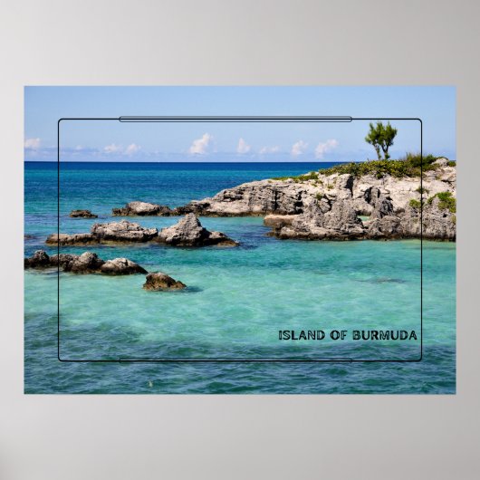 熱帯パラダイス ポスター (正面)