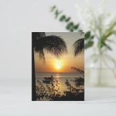 熱帯パラダイス ポストカード (スタンド正面)