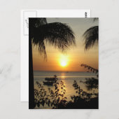 熱帯パラダイス ポストカード (正面/裏面)