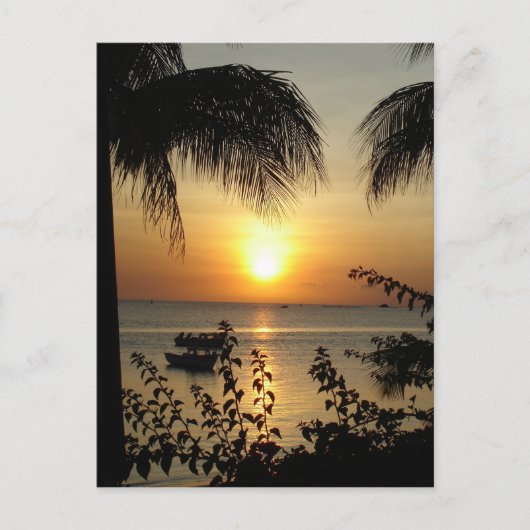 熱帯パラダイス ポストカード (正面)