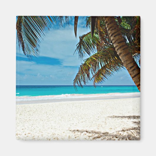 熱帯パラダイス マグネット (正面)