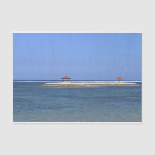 熱帯パラダイス 薄葉紙 (正面)