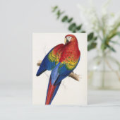 熱帯パロットはがき ポストカード (スタンド正面)