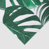 熱帯パーム葉の分離組織 薄葉紙 (詳細)