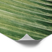 熱帯パーム離れの結婚緑地表 ポスター (角)