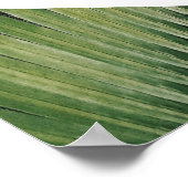 熱帯パーム離れの結婚緑地表 ポスター (角)