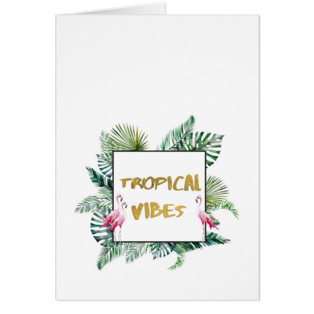 熱帯ビブ (正面)