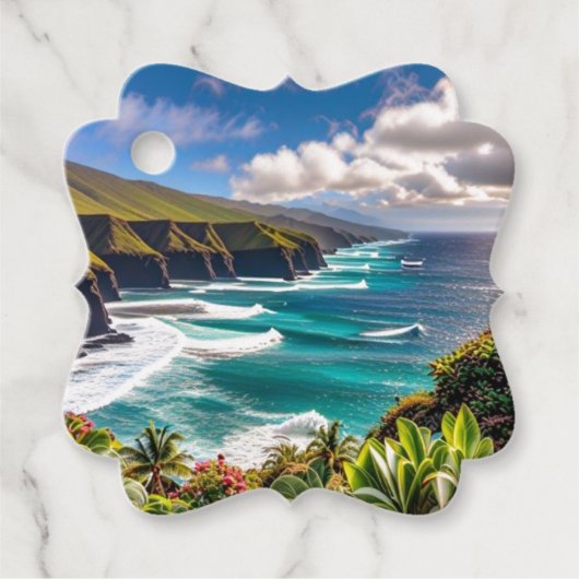 熱帯ビブ フェイバータグ (正面)