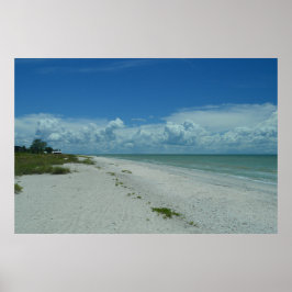 熱帯ビーチの日 ポスター