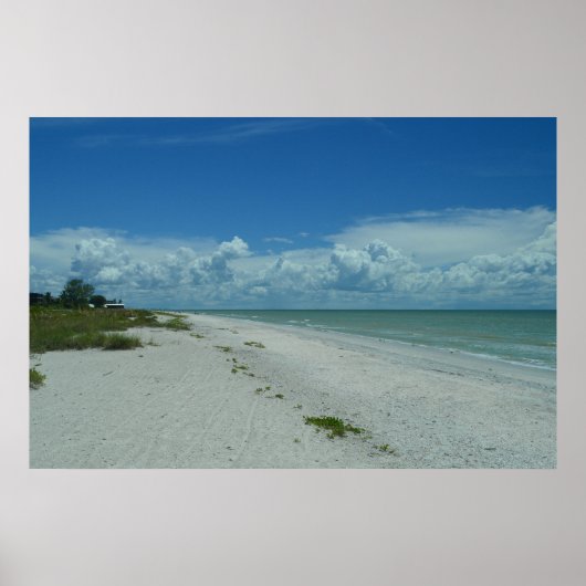 熱帯ビーチの日 ポスター (正面)