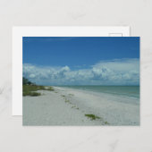 熱帯ビーチの日 ポストカード (正面/裏面)