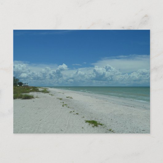 熱帯ビーチの日 ポストカード (正面)