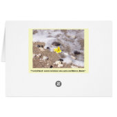 熱帯ビーチの食器セットの名刺 (裏面横)