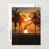 熱帯ビーチサンセットポストカード ポストカード (正面/裏面)