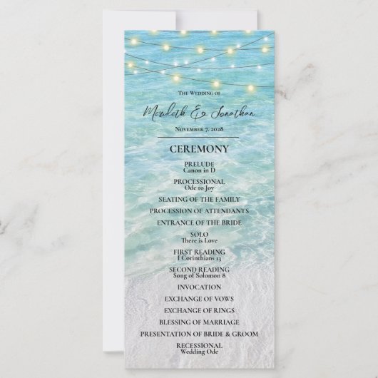 熱帯ビーチシーサイドストリングライト結婚ズ (正面)