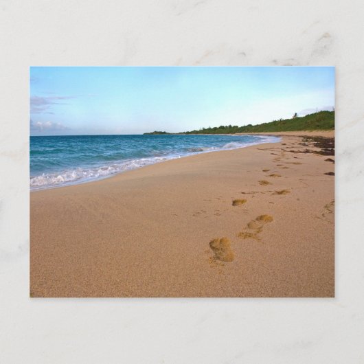 熱帯ビーチシーン ポストカード (正面)