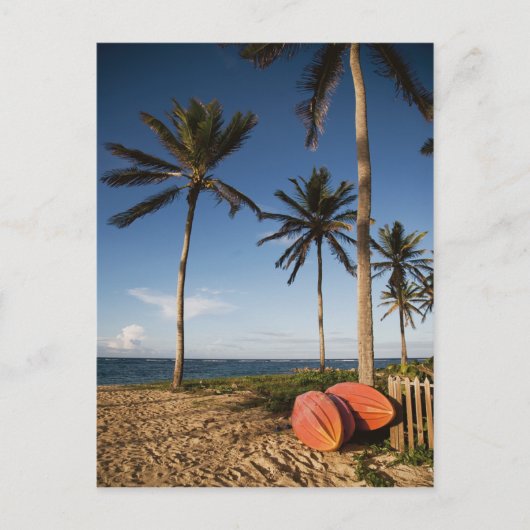 熱帯ビーチシーン ポストカード (正面)