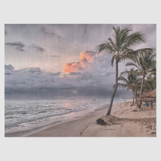 熱帯ビーチティッシュペーパー 薄葉紙 (正面)