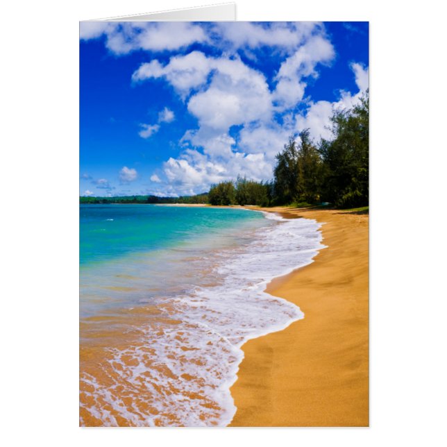 熱帯ビーチパラダイス、ハワイ (正面)