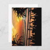 熱帯ビーチ招待状 招待状 (正面/裏面)