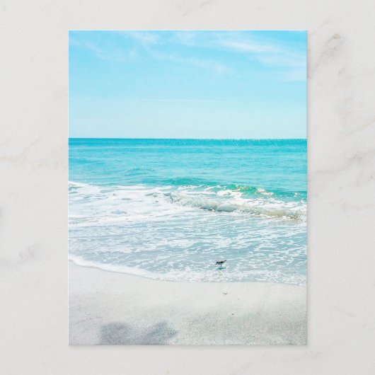 熱帯ビーチ砂海波海シェルガルフ ポストカード (正面)