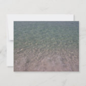 熱帯ビーチ結婚式のハイビスカスは日付を救います セーブザデート (裏面)