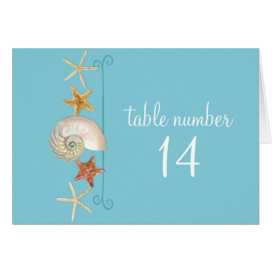 熱帯ビーチ貝殻星魚ナウチラス夏 (正面横)