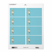 熱帯ビーチ貝殻星魚ナウチラス夏 ラベル (フルシート)