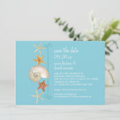 熱帯ビーチ貝殻星魚ナウチラス夏 招待状 (スタンド正面)