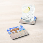 熱帯ビーチ |アルバサンディビーチ コースター (右側)