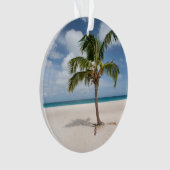 熱帯ビーチ |アルバ，イーグルビーチ オーナメント (正面)