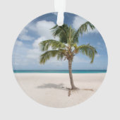 熱帯ビーチ |アルバ，イーグルビーチ オーナメント (裏面)