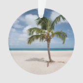 熱帯ビーチ |アルバ，イーグルビーチ オーナメント (正面)