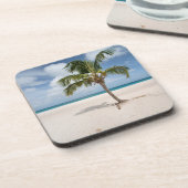 熱帯ビーチ |アルバ，イーグルビーチ コースター (左側)