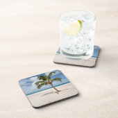 熱帯ビーチ |アルバ，イーグルビーチ コースター (右側)