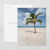 熱帯ビーチ |アルバ，イーグルビーチ ポストカード (正面/裏面)