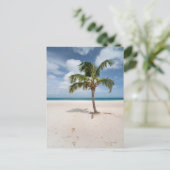 熱帯ビーチ |アルバ，イーグルビーチ ポストカード (スタンド正面)