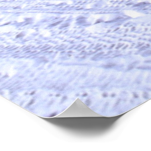 熱帯ビーチ |クリアウォーター、フロリダ ポスター (角)