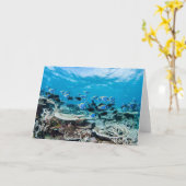 熱帯ビーチ |サンゴの中のチョウザメ カード (黄色い花)