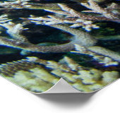 熱帯ビーチ |サンゴの中のチョウザメ ポスター (角)