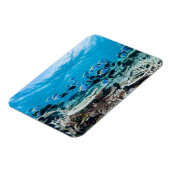 熱帯ビーチ |サンゴの中のチョウザメ マグネット (左側)