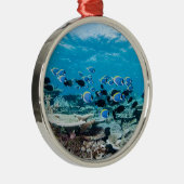 熱帯ビーチ |サンゴの中のチョウザメ メタルオーナメント (右)